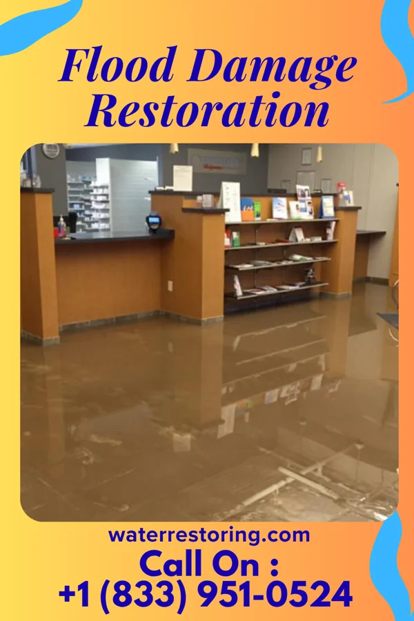 Flood Damage Restoration in Pembroke Pines, FL