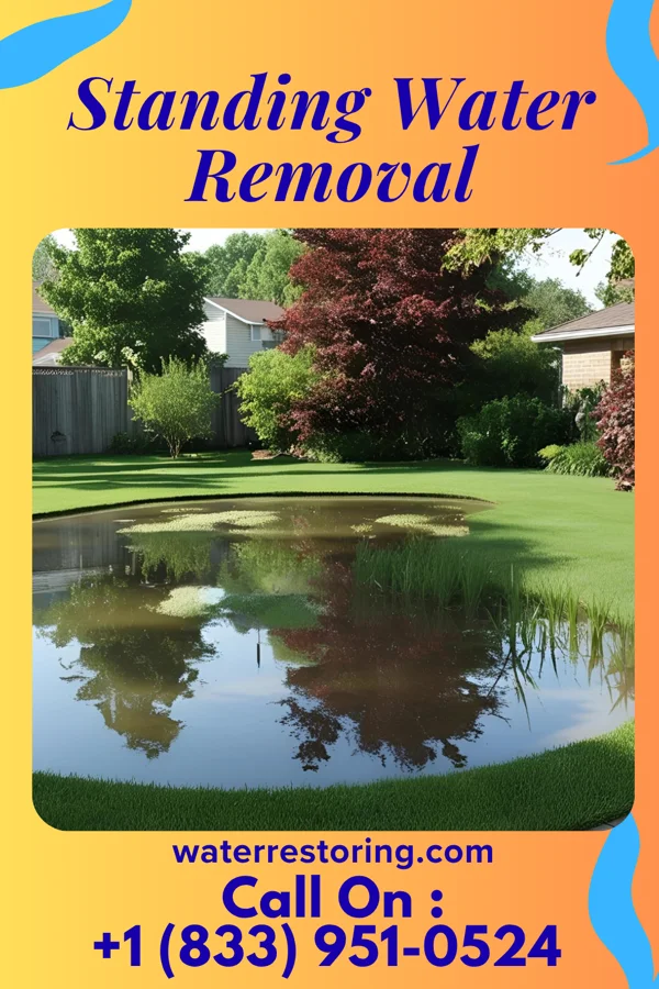Standing Water Removal in Pembroke Pines, FL